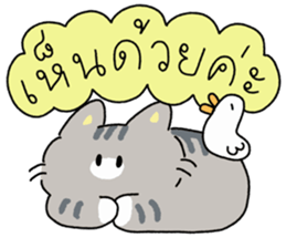 ลายที่ 31