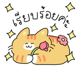 ลายที่ 37