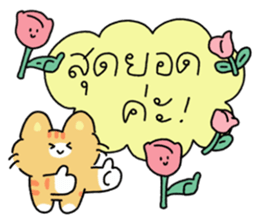 ลายที่ 43