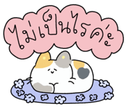 ลายที่ 49