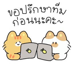 ลายที่ 51