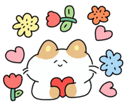 ลายที่ 71