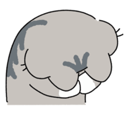 ลายที่ 77