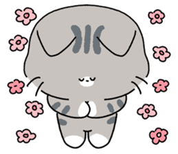 ลายที่ 79