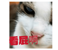 820993935