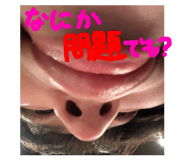 821007609
