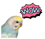 821010056