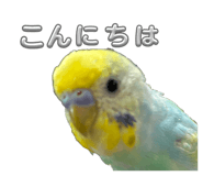 821010058
