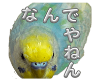 821010059