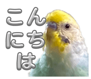 821010060