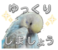 821010061