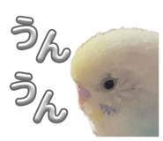 821010063
