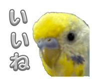 821010064