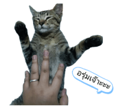 821019475