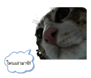 821019477