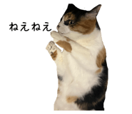 821031814