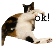 821031815