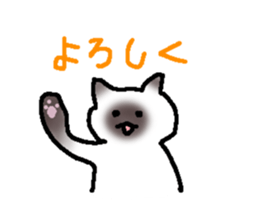 821033081