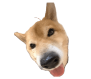 821034516