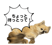821035671
