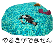 821036080
