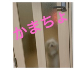 821037426