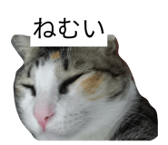 821042616