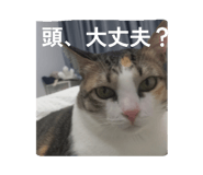 821042618