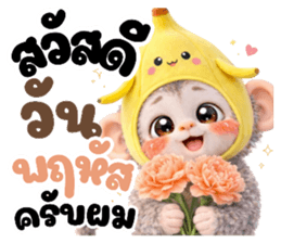 ปังคุง ลิงหิมะ (ทำงาน) รูปที่ 9