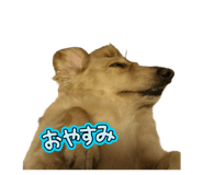 821083548