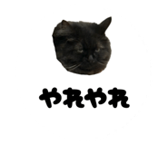 821083813