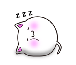 8211081