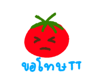 821134691