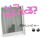 821145622