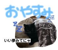 821145634