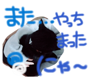 821145639