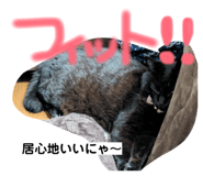 821145643