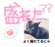 821145644