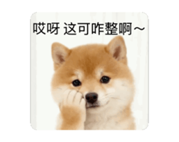 821167753