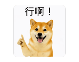 821167754
