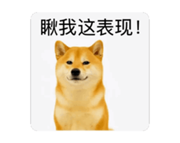 821167755