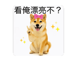 821167756