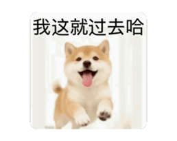 821167758