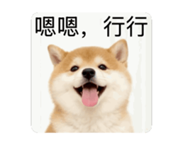 821167760