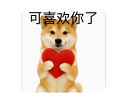 821167764