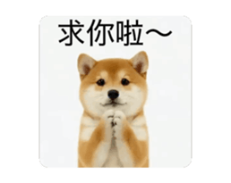 821167765