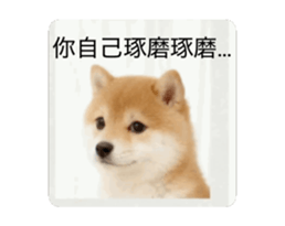 821167768