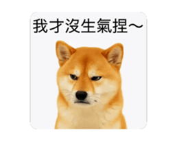 821167769