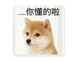 821167770