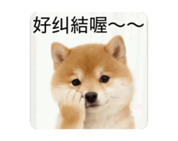 821167771